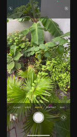 Load and play video in Gallery viewer, QR-based Smart Plant Tags | AI based Plant Identification | Caring Tips | HD Image Storage | Waterproof | AA-AAA
