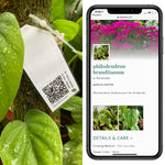 Load image into Gallery viewer, QR-based Smart Plant Tags | AI based Plant Identification | Caring Tips | HD Image Storage | Waterproof | AA-AAA
